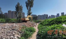 西安双竹村最新爆料,揭秘古村落神秘面纱